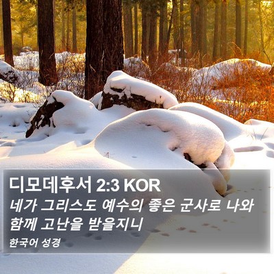디모데후서 2:3 KOR Bible Verse Image