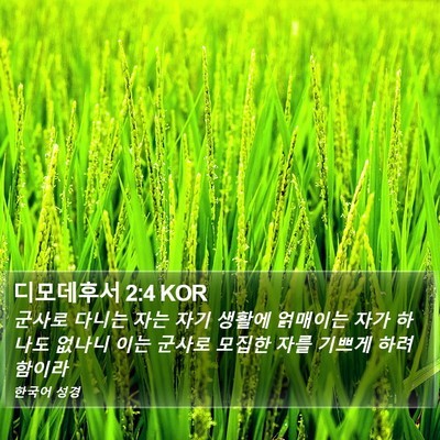 디모데후서 2:4 KOR Bible Verse Image