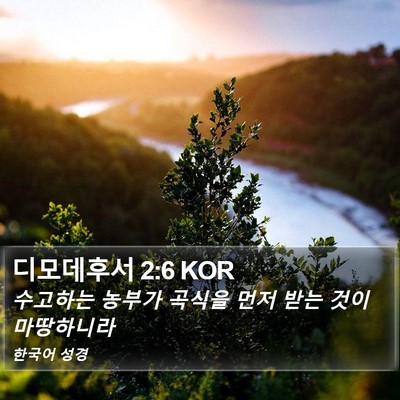 디모데후서 2:6 KOR Bible Verse Image