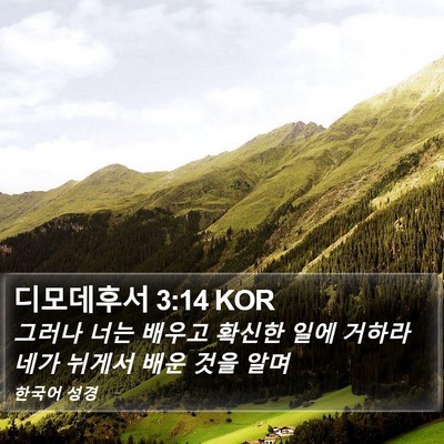 디모데후서 3:14 KOR Bible Verse Image