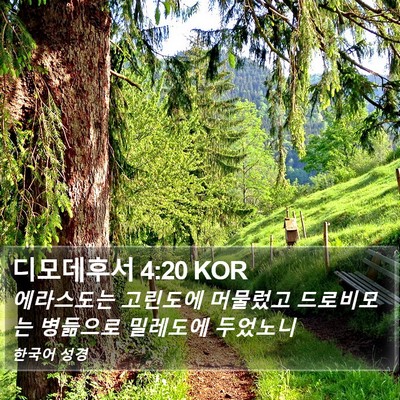 디모데후서 4:20 KOR Bible Verse Image