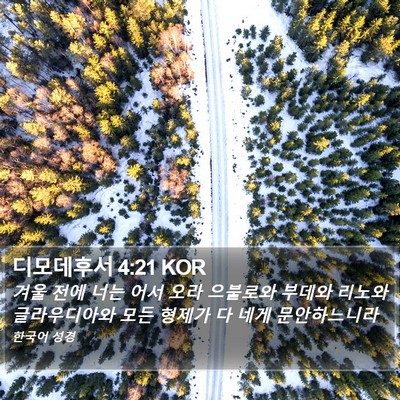 디모데후서 4:21 KOR Bible Verse Image