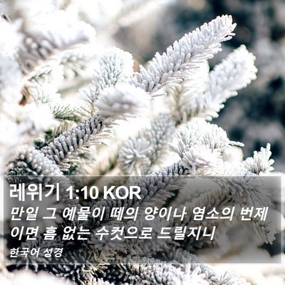 레위기 1:10 KOR Bible Verse Image