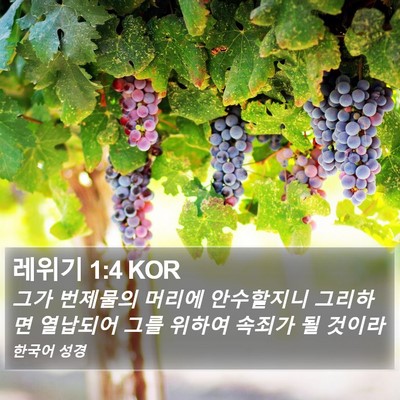 레위기 1:4 KOR Bible Verse Image