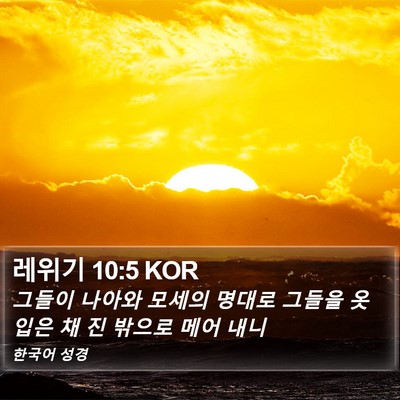 레위기 10:5 KOR Bible Verse Image