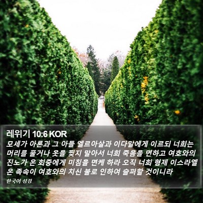 레위기 10:6 KOR Bible Verse Image