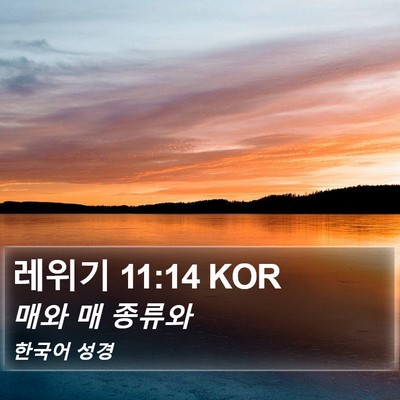 레위기 11:14 KOR Bible Verse Image