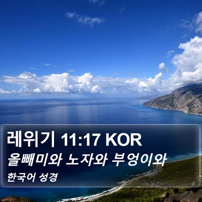 레위기 11:17 KOR Bible Verse Image