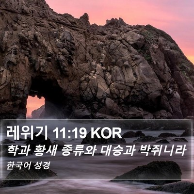 레위기 11:19 KOR Bible Verse Image