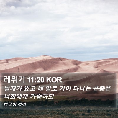 레위기 11:20 KOR Bible Verse Image