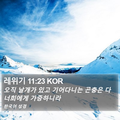 레위기 11:23 KOR Bible Verse Image