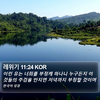 레위기 11:24 KOR Bible Verse Image