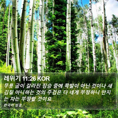 레위기 11:26 KOR Bible Verse Image