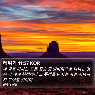 레위기 11:27 KOR Bible Verse Image