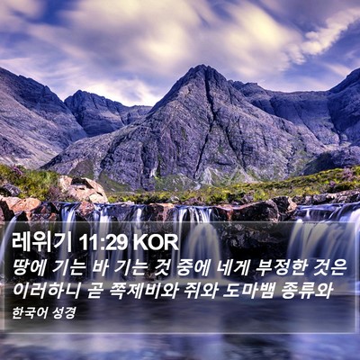 레위기 11:29 KOR Bible Verse Image