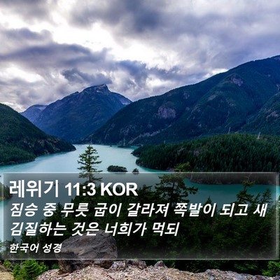 레위기 11:3 KOR Bible Verse Image