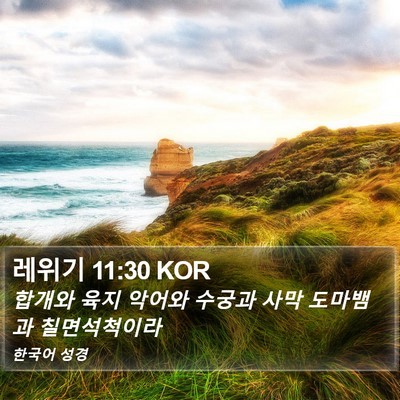 레위기 11:30 KOR Bible Verse Image