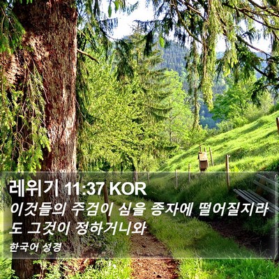 레위기 11:37 KOR Bible Verse Image
