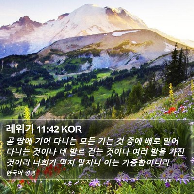 레위기 11:42 KOR Bible Verse Image