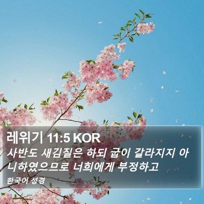 레위기 11:5 KOR Bible Verse Image