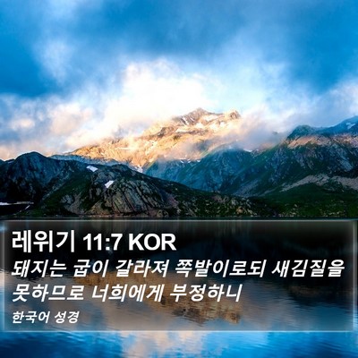 레위기 11:7 KOR Bible Verse Image