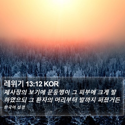 레위기 13:12 KOR Bible Verse Image