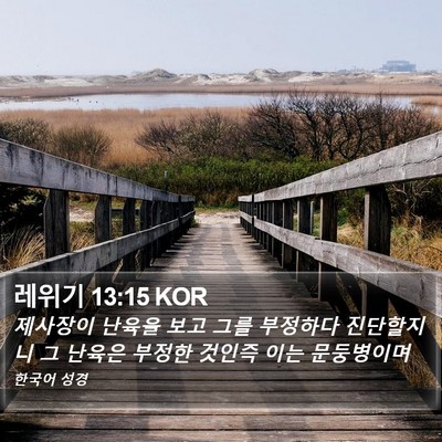 레위기 13:15 KOR Bible Verse Image