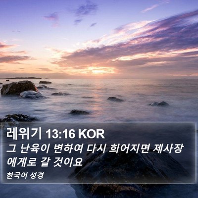 레위기 13:16 KOR Bible Verse Image