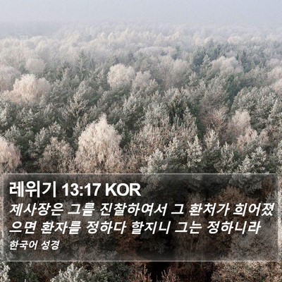 레위기 13:17 KOR Bible Verse Image