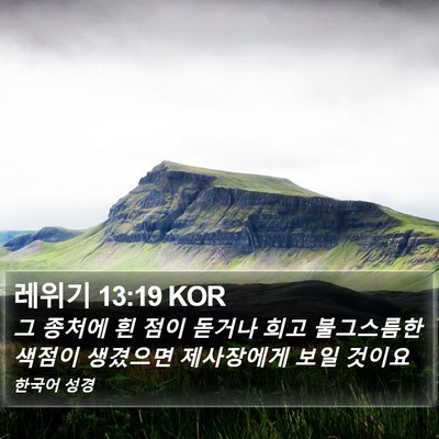 레위기 13:19 KOR Bible Verse Image