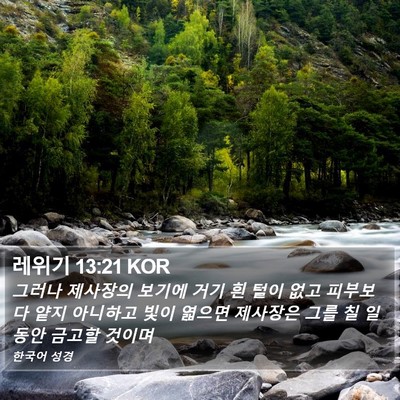 레위기 13:21 KOR Bible Verse Image