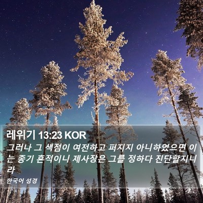 레위기 13:23 KOR Bible Verse Image