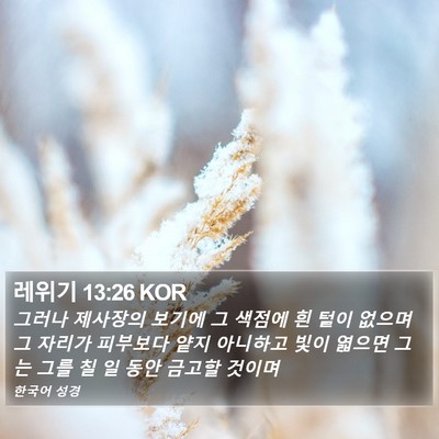 레위기 13:26 KOR Bible Verse Image