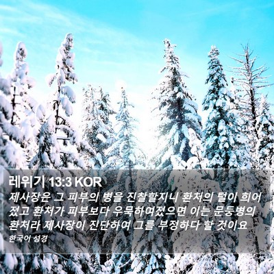 레위기 13:3 KOR Bible Verse Image