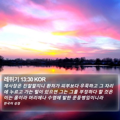 레위기 13:30 KOR Bible Verse Image