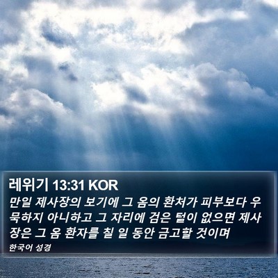 레위기 13:31 KOR Bible Verse Image