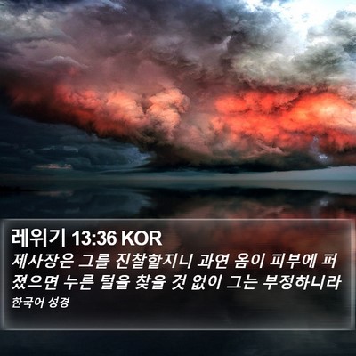 레위기 13:36 KOR Bible Verse Image