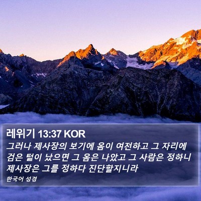 레위기 13:37 KOR Bible Verse Image