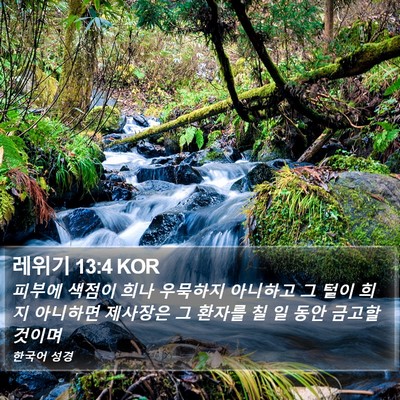 레위기 13:4 KOR Bible Verse Image