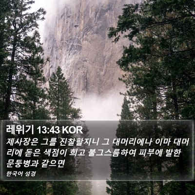 레위기 13:43 KOR Bible Verse Image