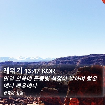 레위기 13:47 KOR Bible Verse Image