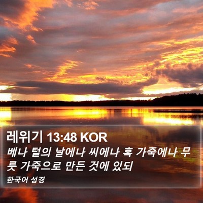 레위기 13:48 KOR Bible Verse Image