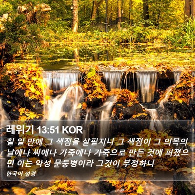 레위기 13:51 KOR Bible Verse Image