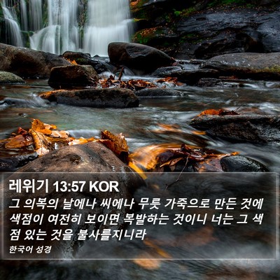 레위기 13:57 KOR Bible Verse Image