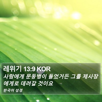 레위기 13:9 KOR Bible Verse Image