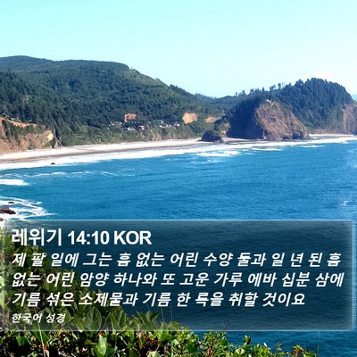 레위기 14:10 KOR Bible Verse Image