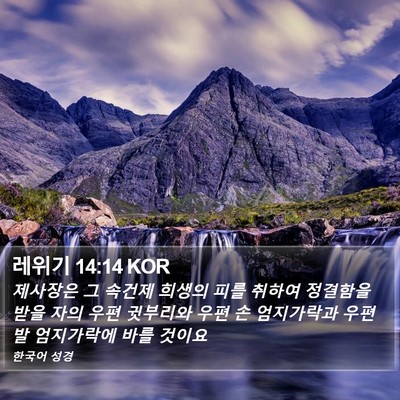 레위기 14:14 KOR Bible Verse Image