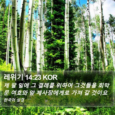 레위기 14:23 KOR Bible Verse Image