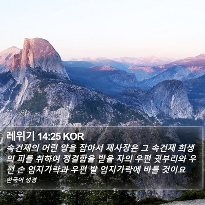 레위기 14:25 KOR Bible Verse Image