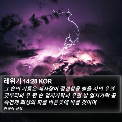레위기 14:28 KOR Bible Verse Image